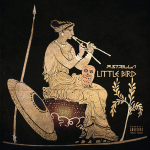 Little Bird