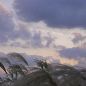 宋冬野-安河桥（吉他弹奏）（顾欲 remix）