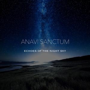 Echoes Of The Night Sky
