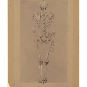 Leave Me in the Dark