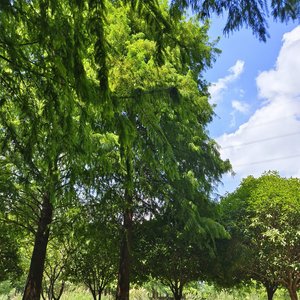 奔跑的信念 .mp3