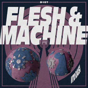 Flesh & Machine