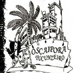 Aroeira