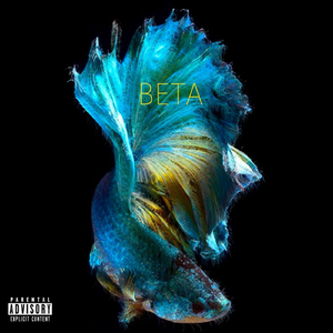 Watch Me Resurrect as I