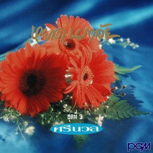 ดอกแก้ว