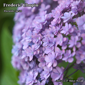 24 Préludes, Op. 28: 21. Cantabile in B-Flat Major