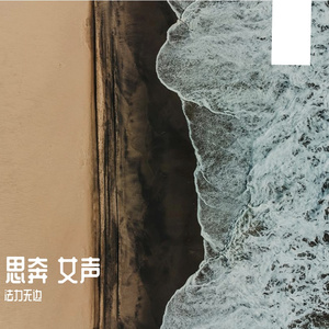 思奔 女声