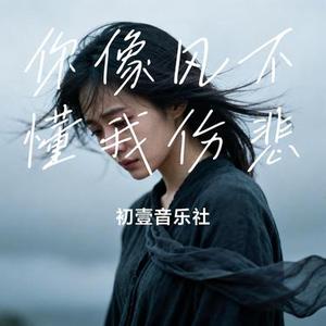 你像风不懂我伤悲 (Cover 姜成万 & 烟嗓明哥)