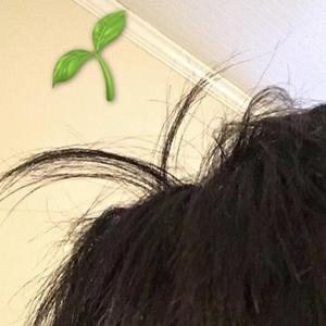 如果有一天我的脑袋上突然长了小芽