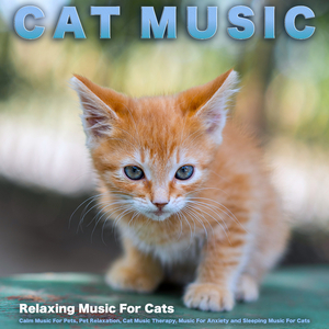 Peaceful Music For Pets
