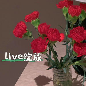 live绽放