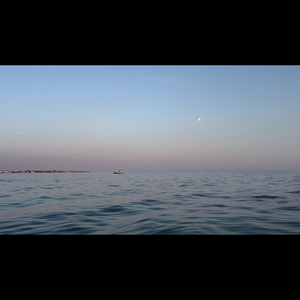 everything sings, and we sing togheter (and nature sings with us)