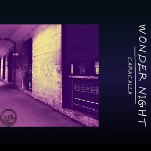Wonder Night