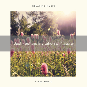 New Year of Sea Best Noises