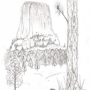 Ponderosa Fine