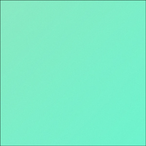WHITE TEE (Cover)