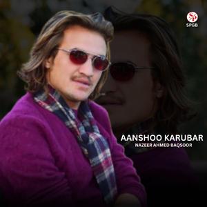 Thai Ghamay Haguri Bay (feat. Nazeer Ahmed Baqsoor)