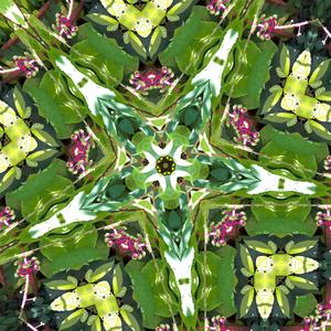 Live a quiet and joyful life