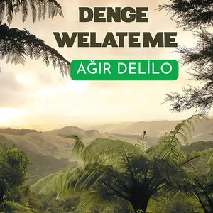 Ağır Delilo