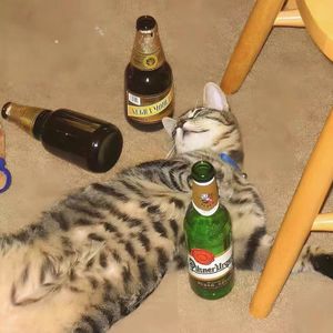 重金属街头之离殇