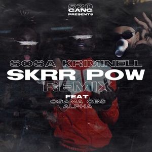 Skrr Pow (Remix)