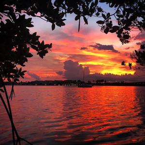 Miro-The Garden of Escapism（HETR remix）