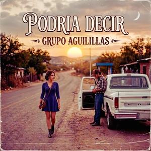 PODRIA DECIR