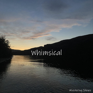 Whimsical
