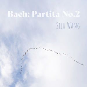 Partita No. 2 in C Minor, BWV 826: VI. Capriccio