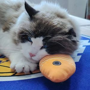 世界から逃げたい V3