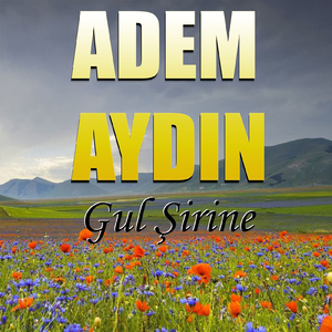 Gul Şirine