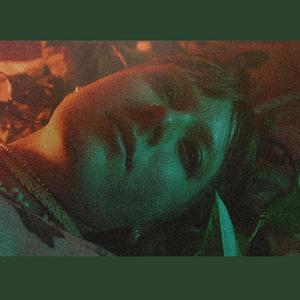 Lurking In The Shadows