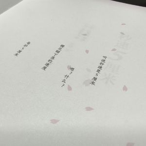 彗星梦事 （Prod by 9Zi）