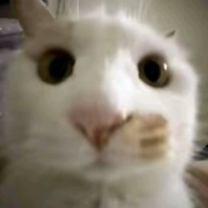 一见钟情手册.wav