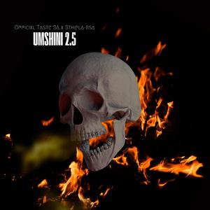UMSHINI 2.5 (feat. Sthipla rsa)