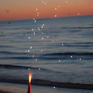 柑橘日落海（sunset rollmantic sea）