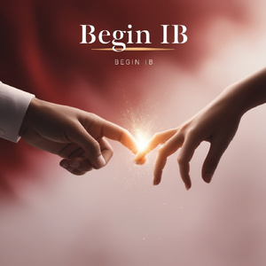 BEGIN-IB