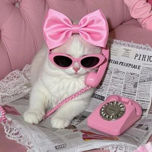 一个人的圣诞节