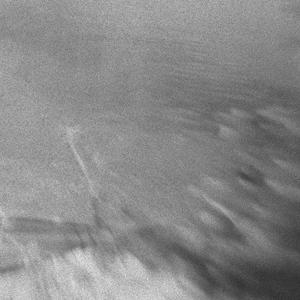 waves from the birds