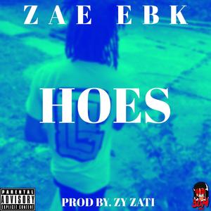 Hoes (feat. Zy Zati)