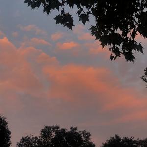 我总是一个人练习一个人（cover）