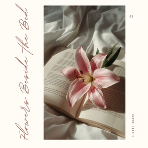 Chromatic Silk Dreams