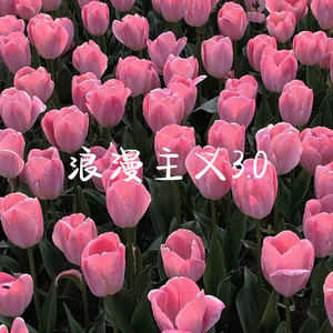 浪漫主义（夏季版）