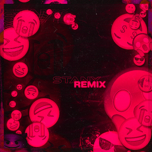 Stany Remix