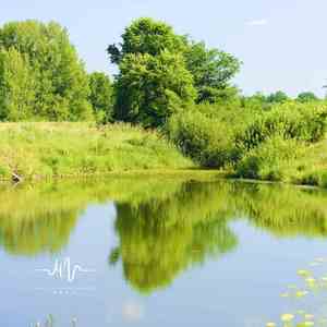 旅途列车 (安眠曲)