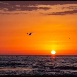 やわらかな光-（治愈系）