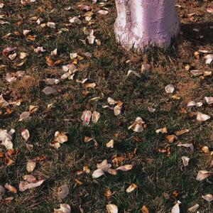 车窗上的雾是你哈的嘛