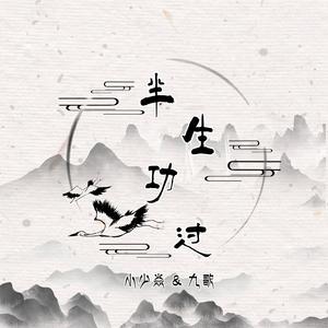 半生功过 (伴奏)