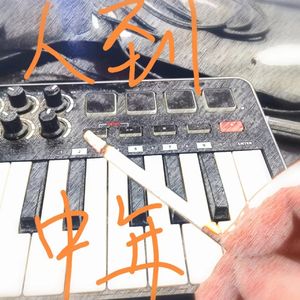 人到中年（民谣版）