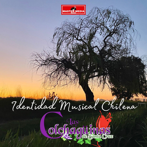 Debajito del Maitén